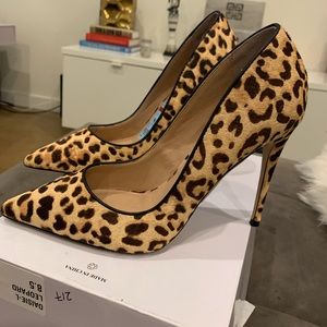 Brand New Leopard Steve Madden Heels